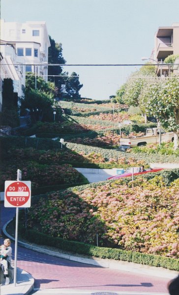 031-Lombard Street from the bottom.jpg